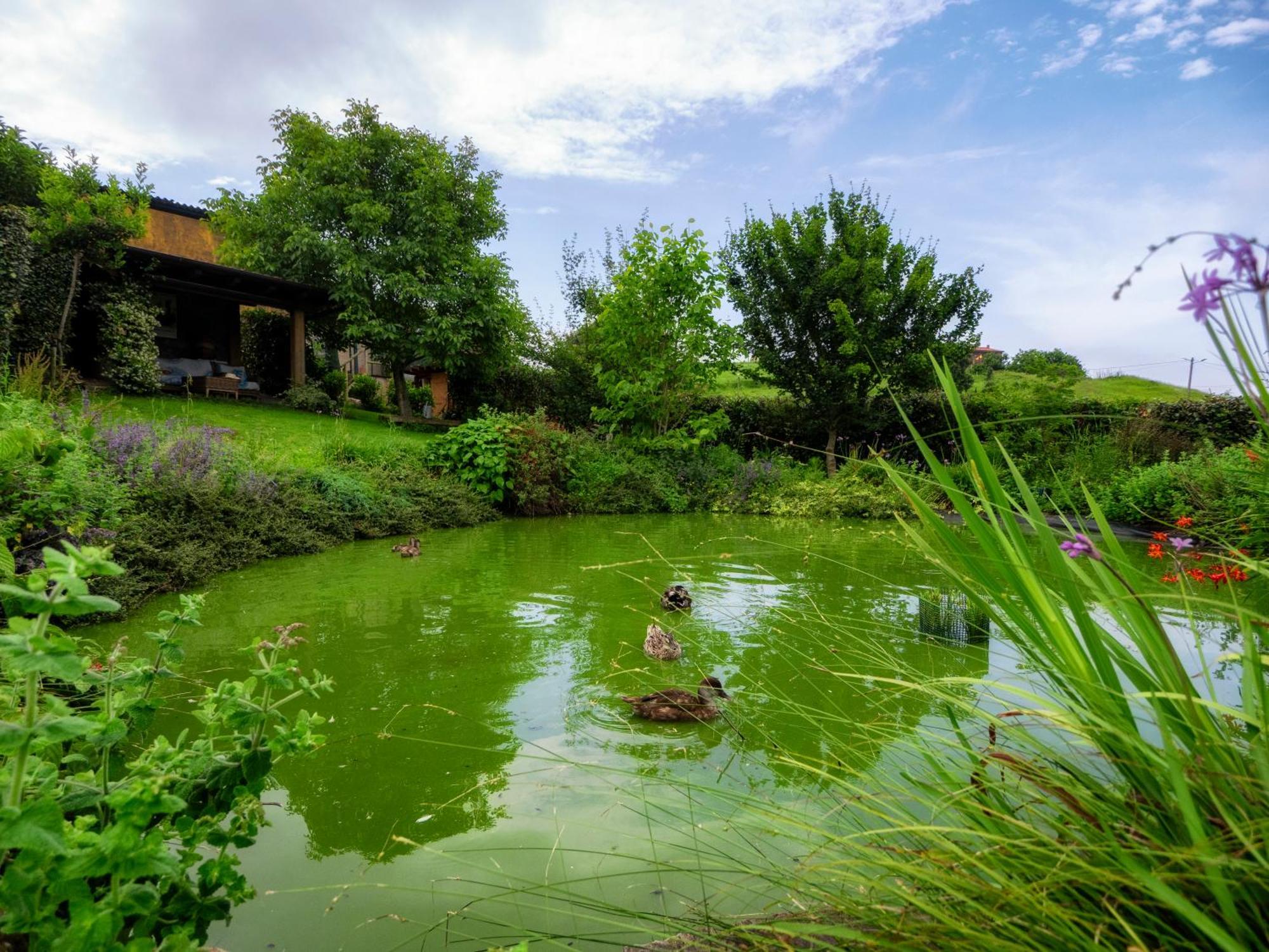 La Casa De Las Palas Tok-Pok Mogro Kültér fotó